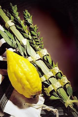 images (1)